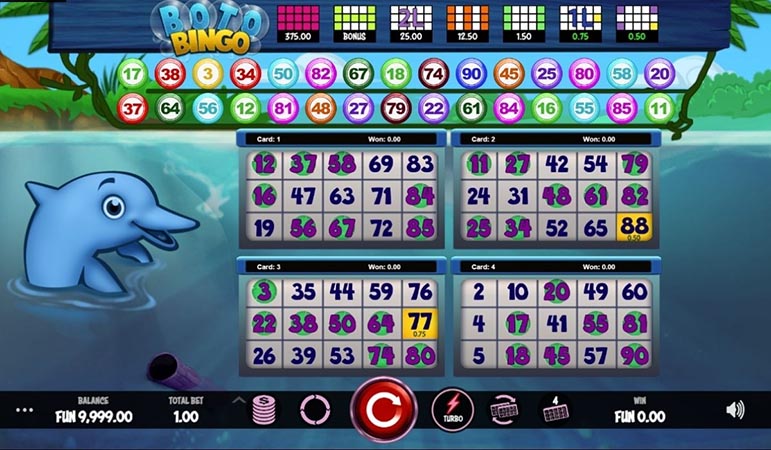 bingo-2